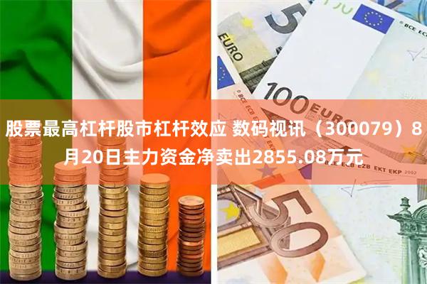 股票最高杠杆股市杠杆效应 数码视讯（300079）8月20日主力资金净卖出2855.08万元