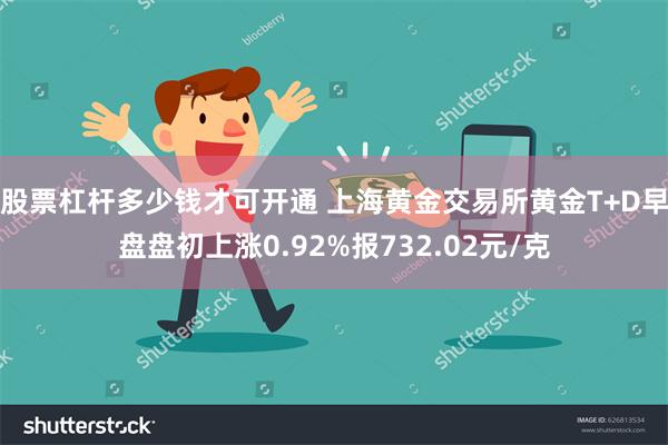 股票杠杆多少钱才可开通 上海黄金交易所黄金T+D早盘盘初上涨0.92%报732.02元/克