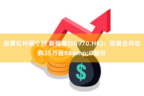 股票杠杆哪个好 新耀莱(00970.HK)：附属合共收购25万股B&O股份