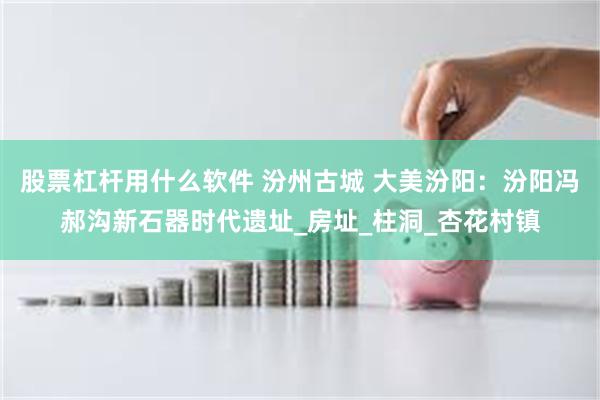 股票杠杆用什么软件 汾州古城 大美汾阳：汾阳冯郝沟新石器时代遗址_房址_柱洞_杏花村镇