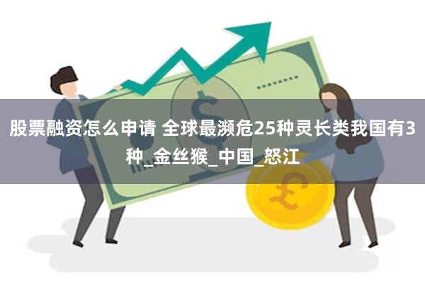 股票融资怎么申请 全球最濒危25种灵长类我国有3种_金丝猴_中国_怒江